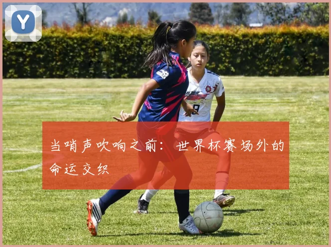 当哨声吹响之前：世界杯赛场外的命运交织