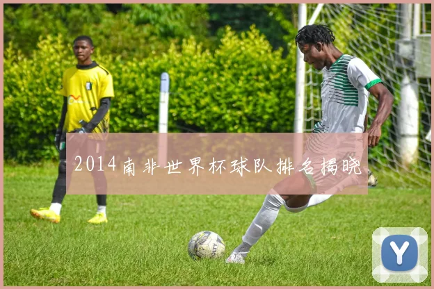 2014南非世界杯球队排名揭晓